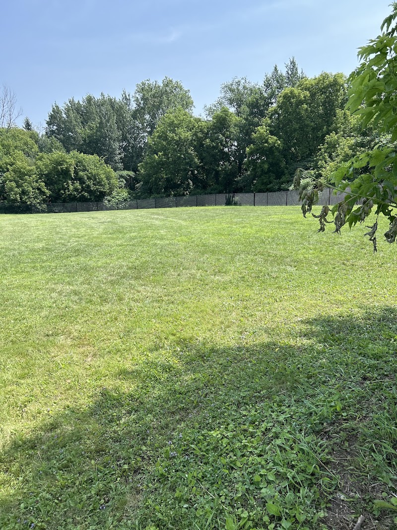 Greely dog park dog park in Greely, Ontario