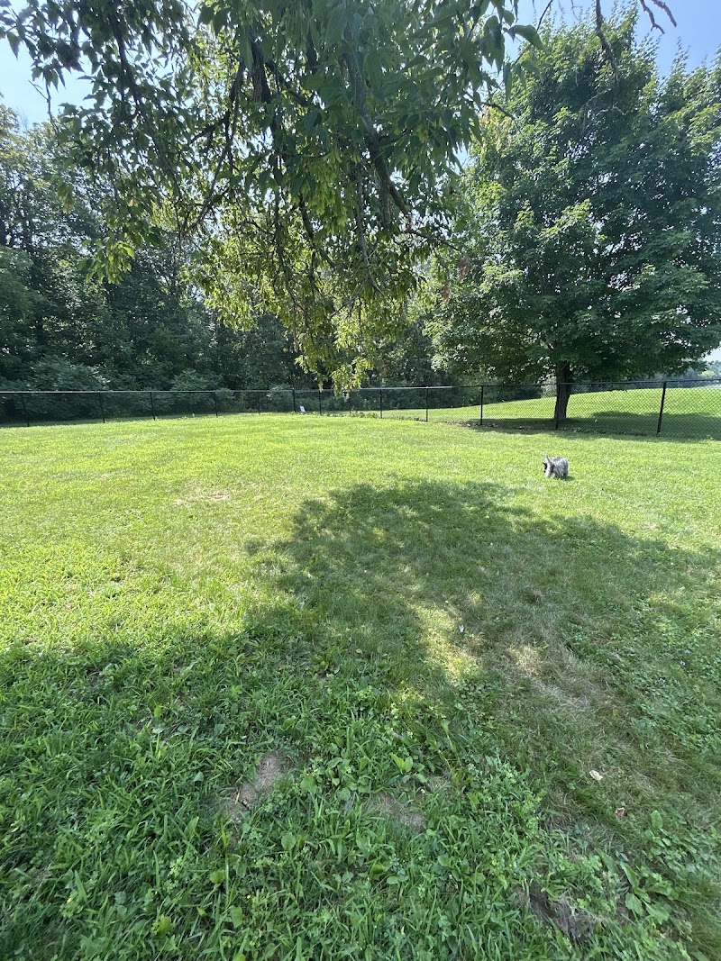 Greely dog park dog park in Greely, Ontario