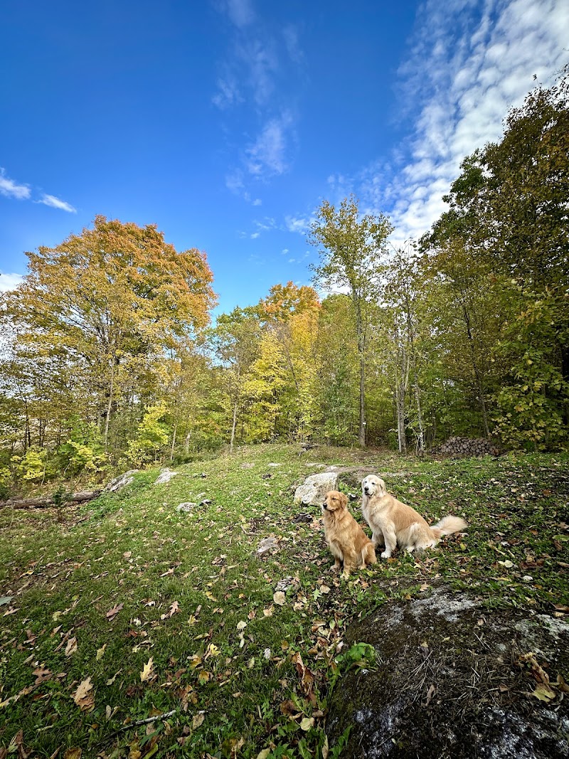 Finnobi Forest - Private Dog Park dog park in Kinburn, Ontario