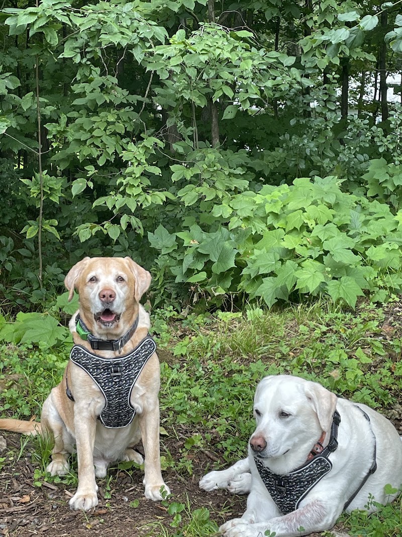 Finnobi Forest - Private Dog Park dog park in Kinburn, Ontario