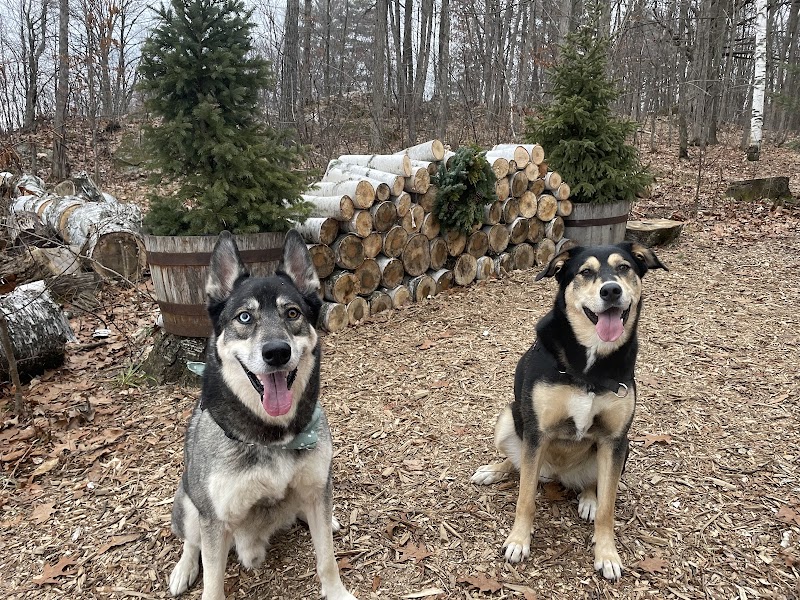 Finnobi Forest - Private Dog Park dog park in Kinburn, Ontario