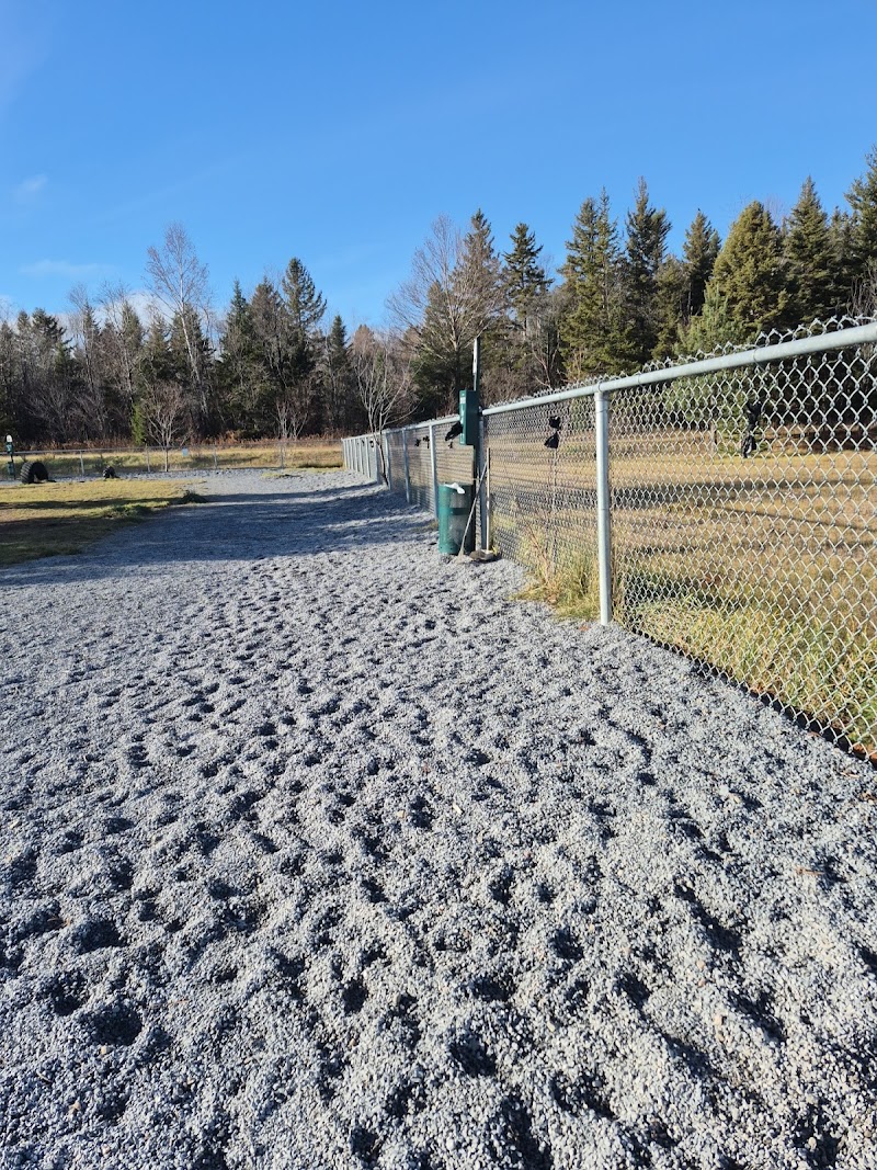 Pasadena Dog Park dog park in Pasadena, Newfoundland and Labrador