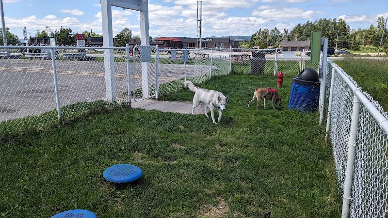 Deer Lake Bark park dog park in Deer Lake, Newfoundland and Labrador