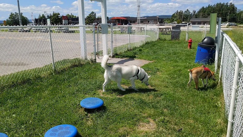 Deer Lake Bark park dog park in Deer Lake, Newfoundland and Labrador