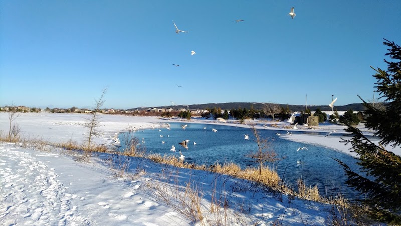 Mundy Pond Dog Park dog park in St. John's, Newfoundland and Labrador