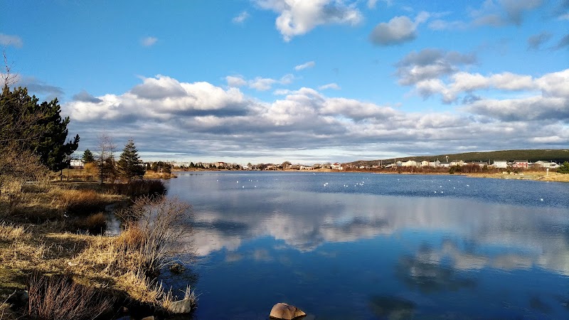 Mundy Pond Dog Park dog park in St. John's, Newfoundland and Labrador