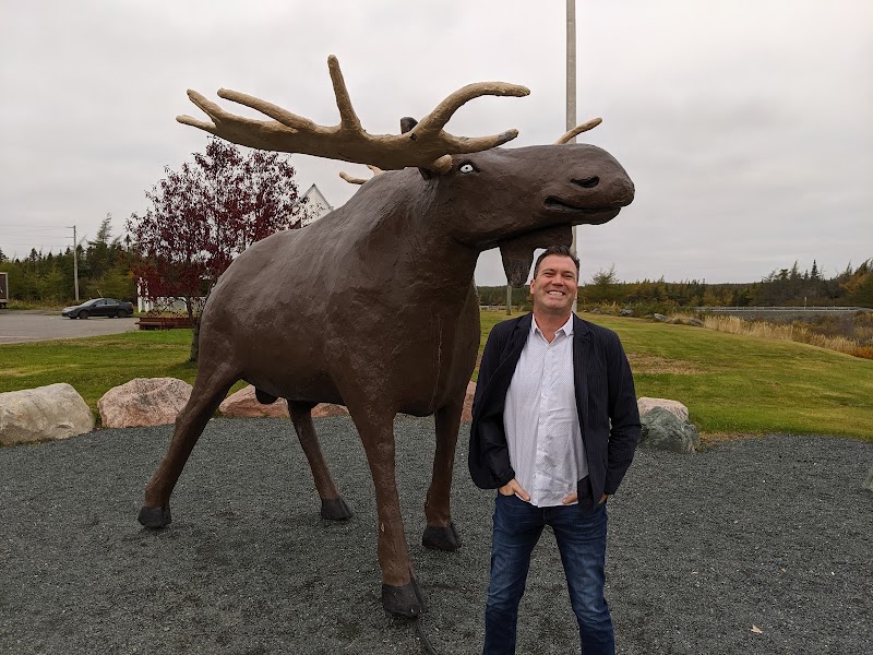 Goobie Bark Park dog park in Clarenville, Newfoundland and Labrador