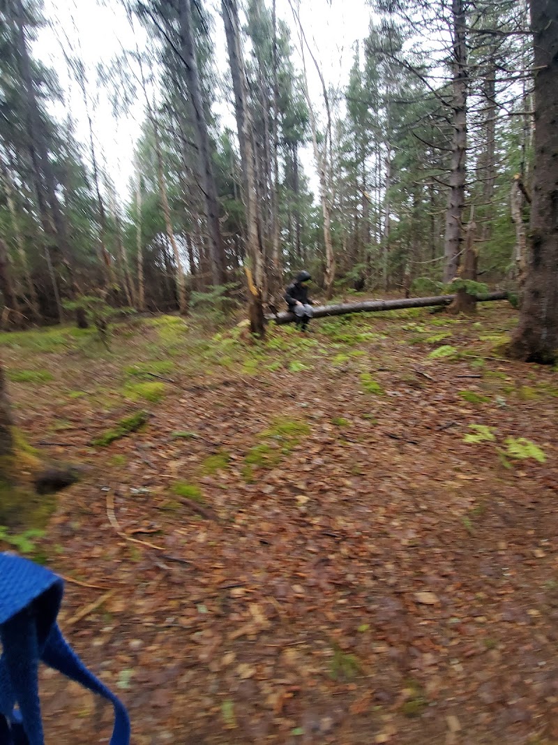 Kippens Public Dog Park dog park in Kippens, Newfoundland and Labrador