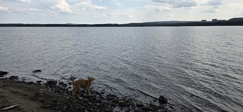 Dog Park dog park in Labrador City, Newfoundland and Labrador
