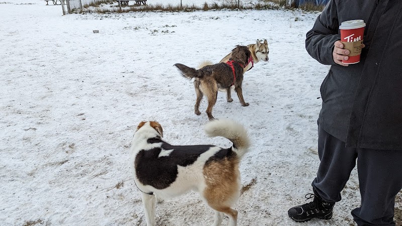 Dog Park dog park in Labrador City, Newfoundland and Labrador