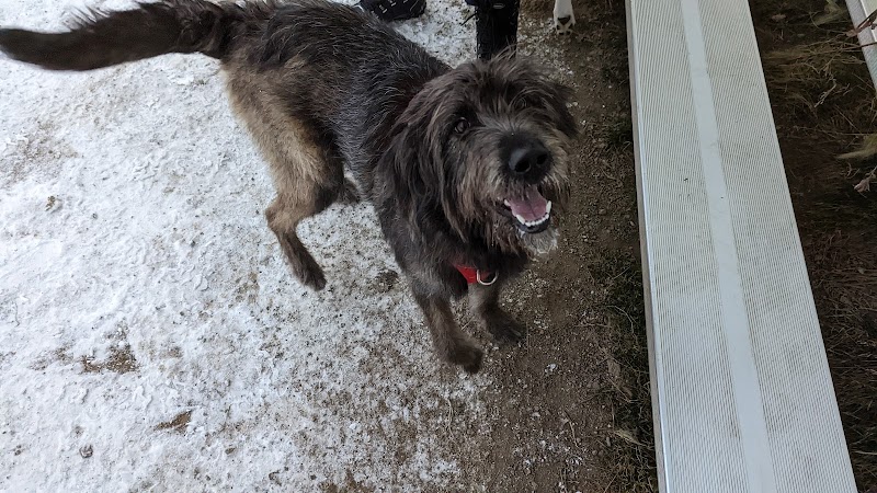 Dog Park dog park in Labrador City, Newfoundland and Labrador