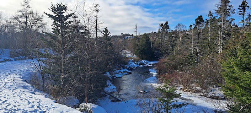Sgt. Ned Nugent's Field Dog Park dog park in Conception Bay South, Newfoundland and Labrador