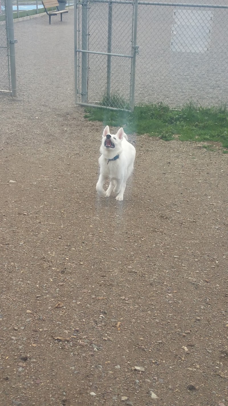 Sgt. Ned Nugent's Field Dog Park dog park in Conception Bay South, Newfoundland and Labrador