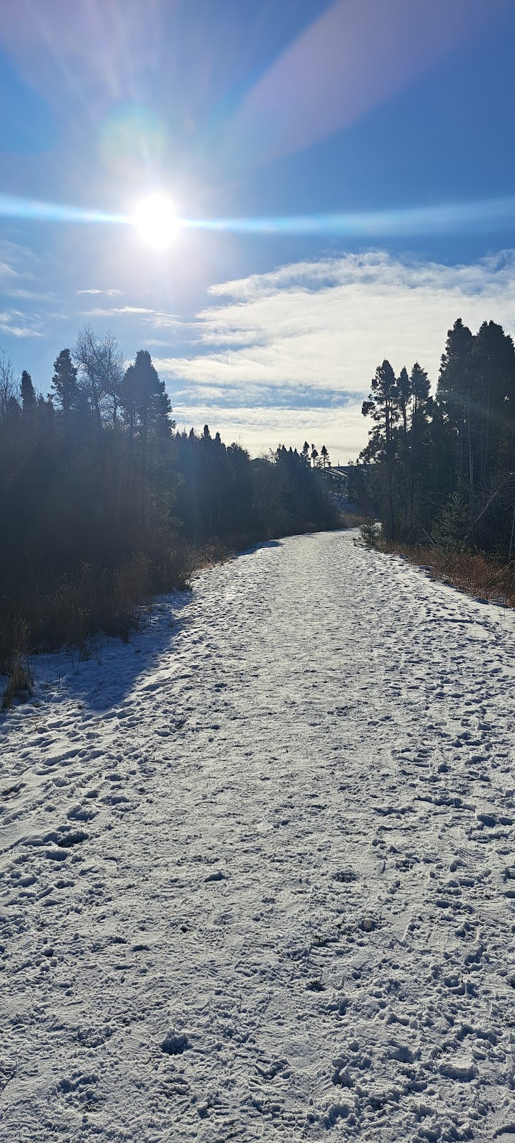 Sgt. Ned Nugent's Field Dog Park dog park in Conception Bay South, Newfoundland and Labrador
