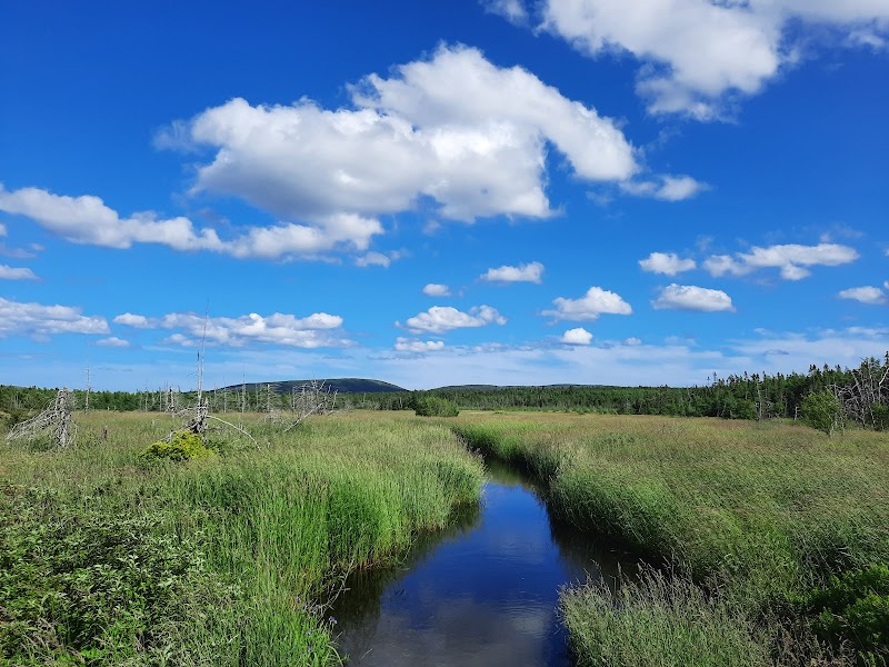 Bidgoods Park Dog Park dog park in St. John's, Newfoundland and Labrador