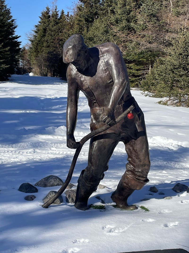 Bidgoods Park Dog Park dog park in St. John's, Newfoundland and Labrador