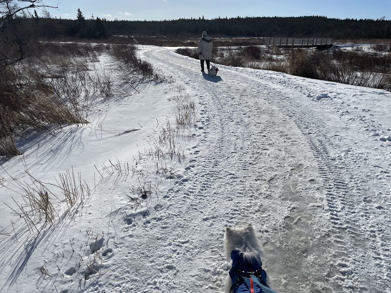 Bidgoods Park Dog Park dog park in St. John's, Newfoundland and Labrador