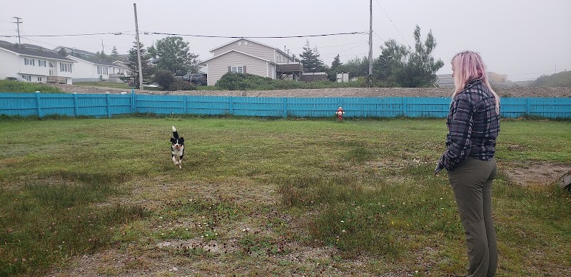 Off-Leash Dog Park dog park in Grand Bay East, Newfoundland and Labrador