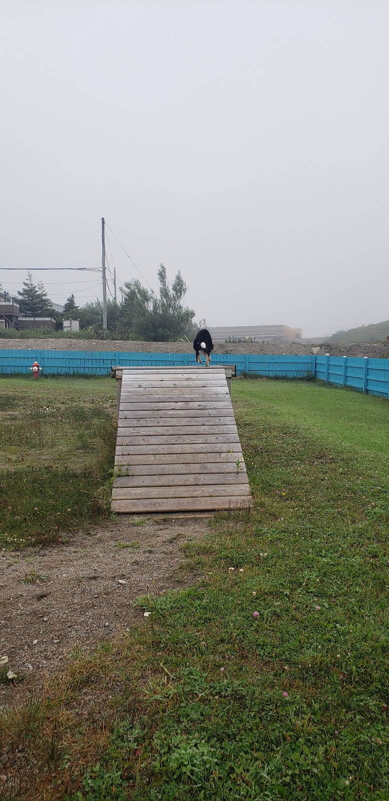 Off-Leash Dog Park dog park in Grand Bay East, Newfoundland and Labrador