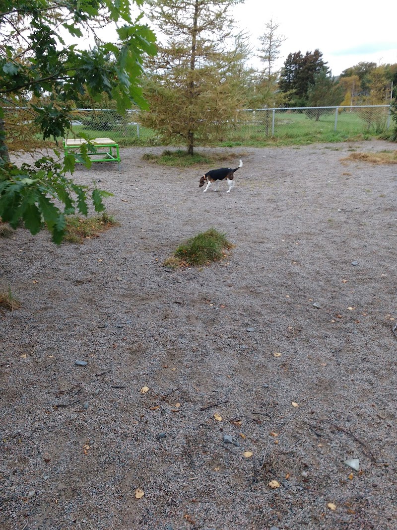 Bowring Park Dog Park dog park in St. John's, Newfoundland and Labrador