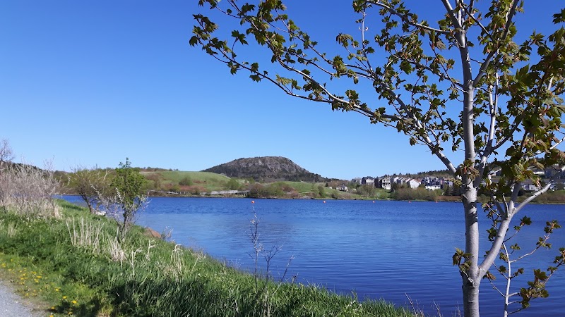 Quidi Vidi Lake Dog Park dog park in St. John's, Newfoundland and Labrador