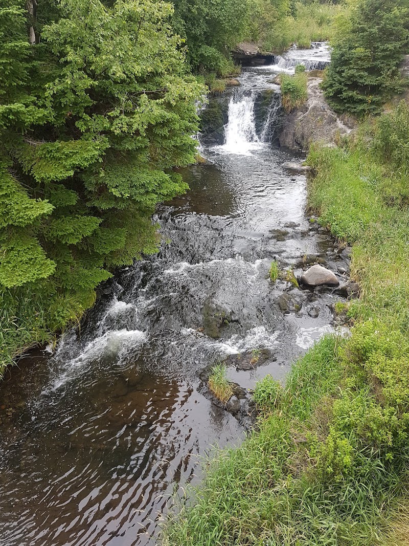 Quidi Vidi Lake Dog Park dog park in St. John's, Newfoundland and Labrador
