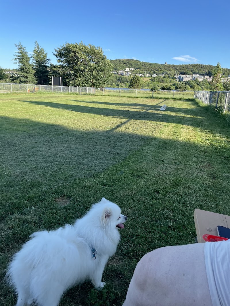 Quidi Vidi Lake Dog Park dog park in St. John's, Newfoundland and Labrador