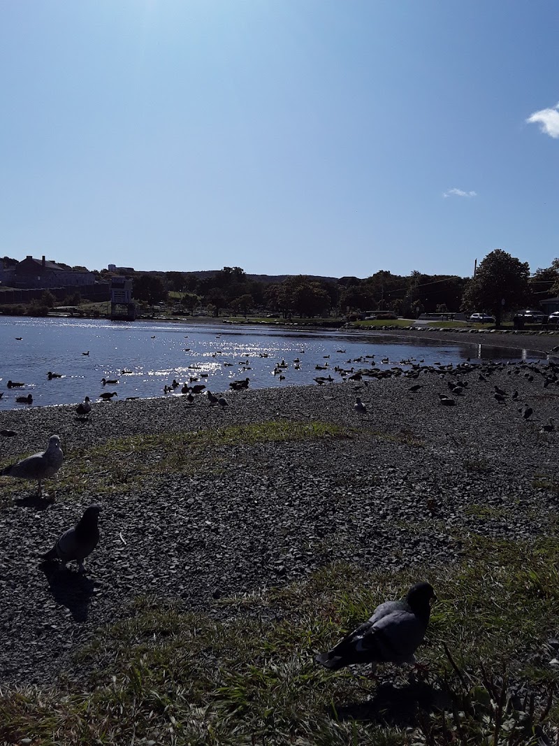 Quidi Vidi Lake Dog Park dog park in St. John's, Newfoundland and Labrador