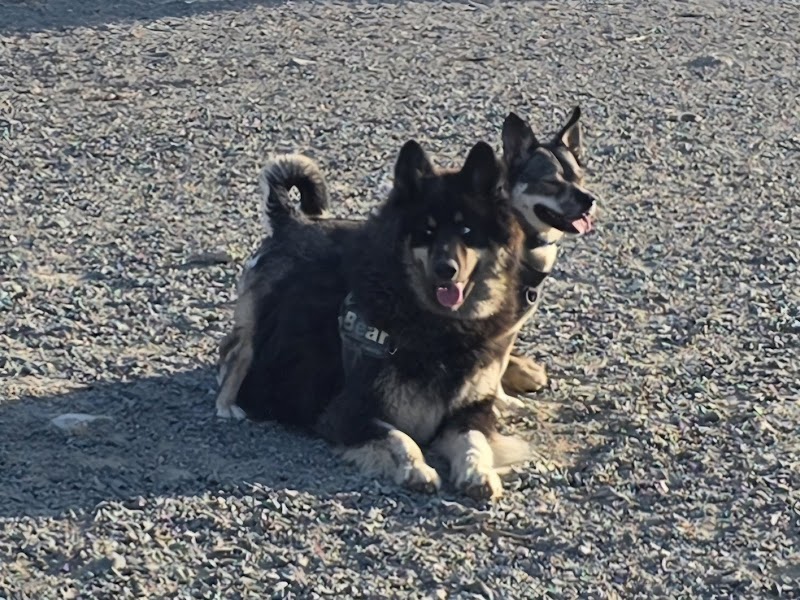 Voiseys Brook Dog Park dog park in Portugal Cove-St. Philip's, Newfoundland and Labrador