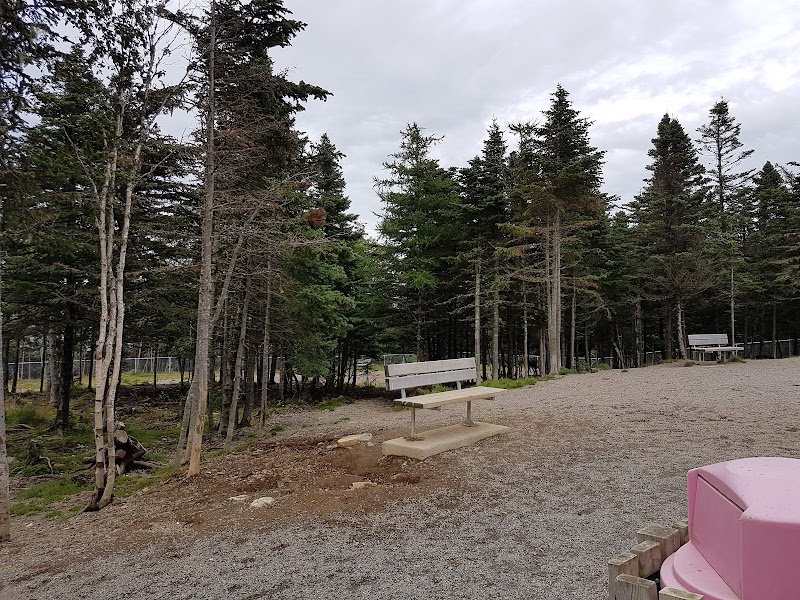 Mount Pearl Dog Park dog park in Mount Pearl, Newfoundland and Labrador