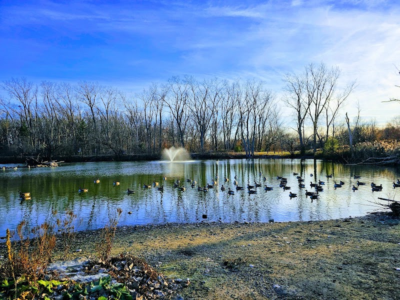 Malden Dog Park dog park in Windsor, Ontario