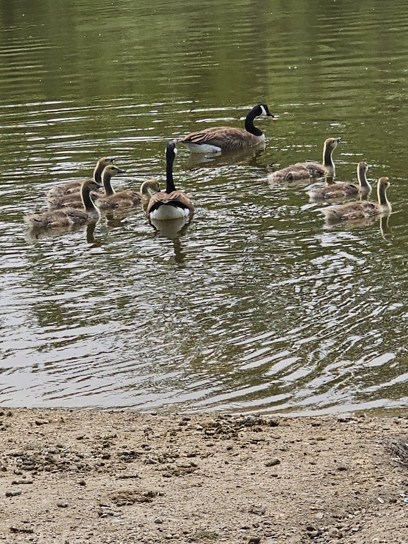 Malden Dog Park dog park in Windsor, Ontario