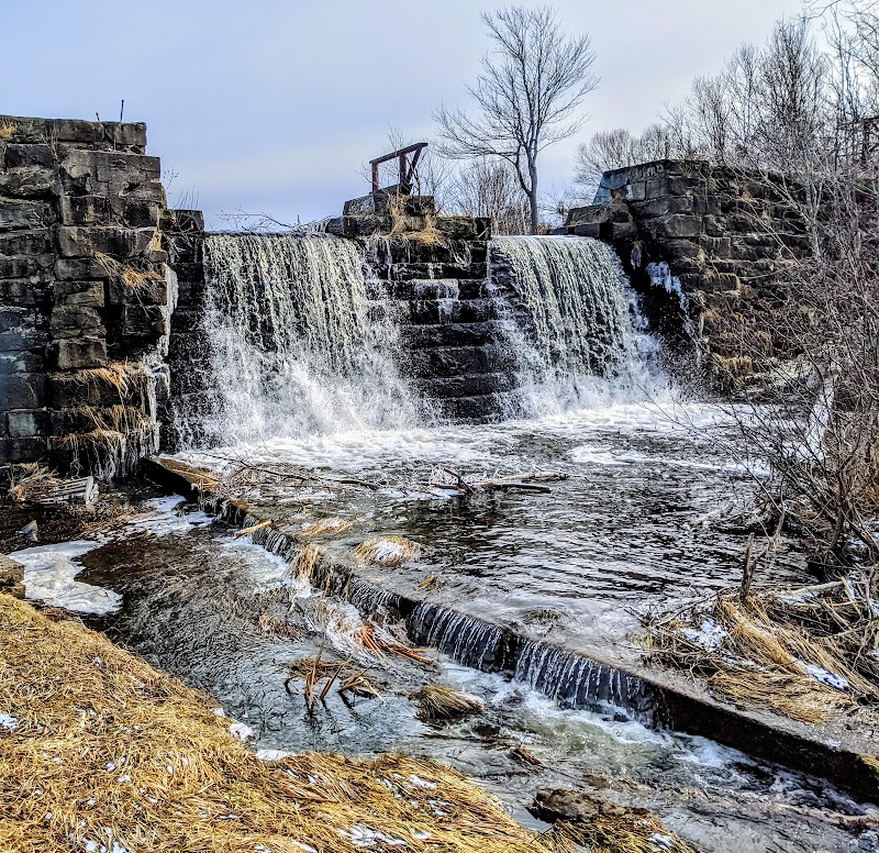 Rotary Park Off Leash Park dog park in Sydney, Nova Scotia