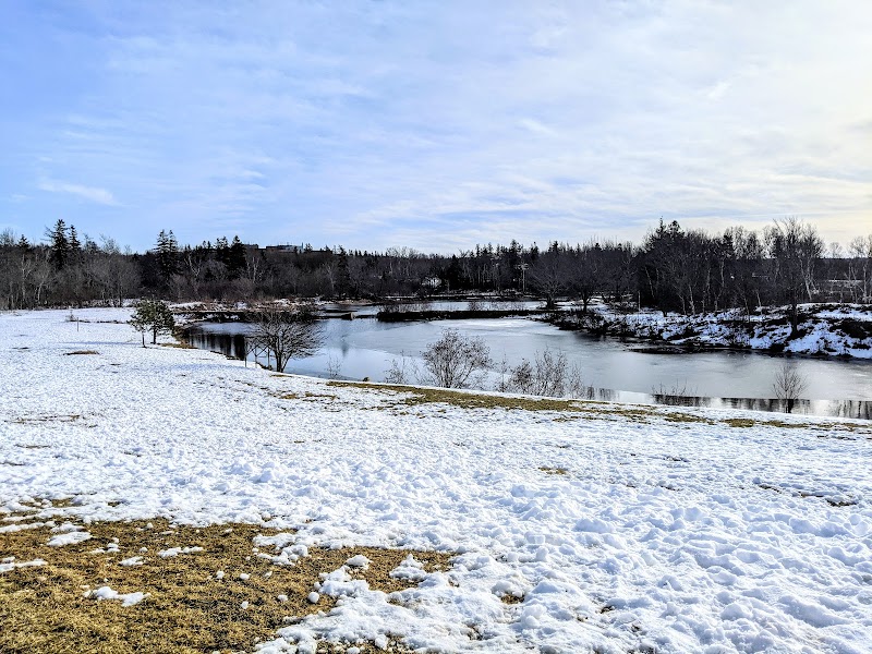 Rotary Park Off Leash Park dog park in Sydney, Nova Scotia