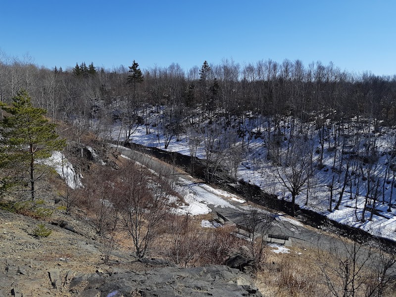 Rotary Park Off Leash Park dog park in Sydney, Nova Scotia