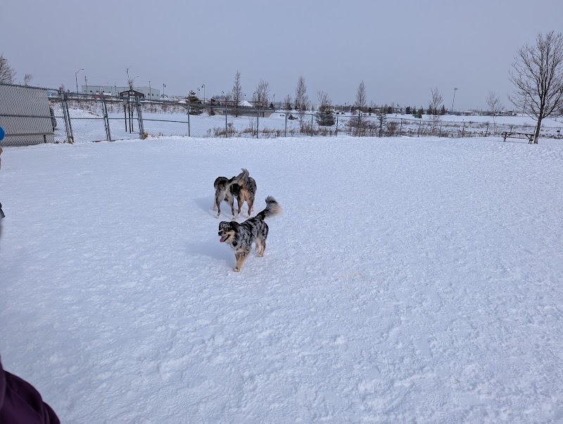 Open Hearth Off Leash Dog Park dog park in Sydney, Nova Scotia