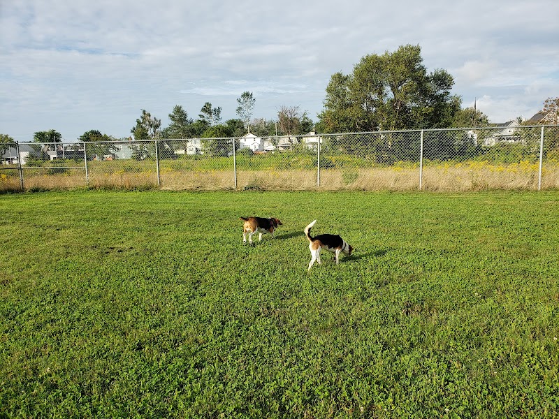 Open Hearth Off Leash Dog Park dog park in Sydney, Nova Scotia