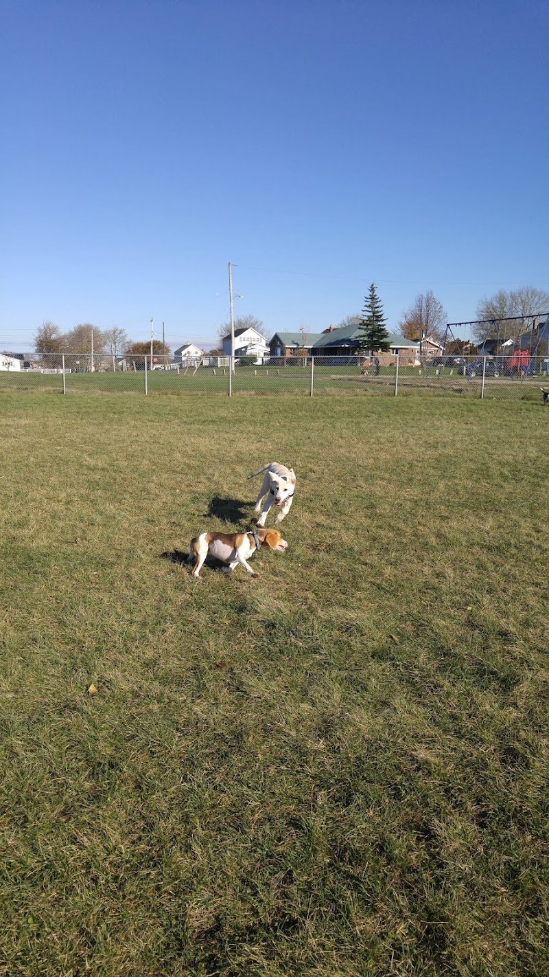 New Waterford Off Leash Dog Park dog park in New Waterford, Nova Scotia