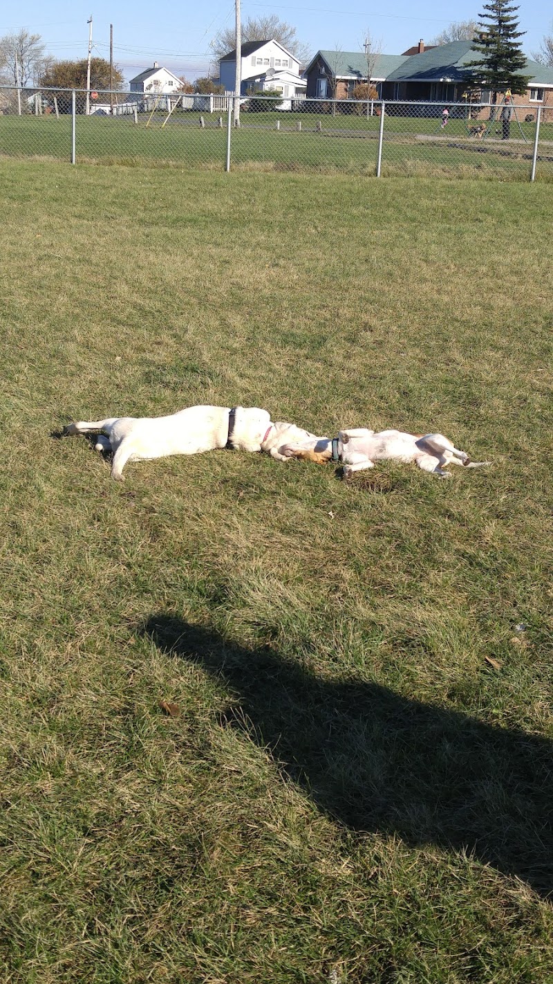 New Waterford Off Leash Dog Park dog park in New Waterford, Nova Scotia