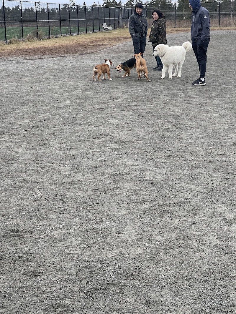 Mainland Common Off-Leash Park dog park in Halifax, Nova Scotia