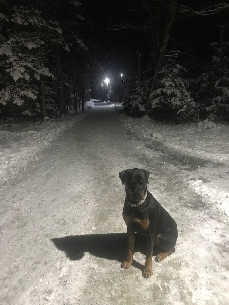 Paws Off Leash Inc. dog park in Lucasville, Nova Scotia