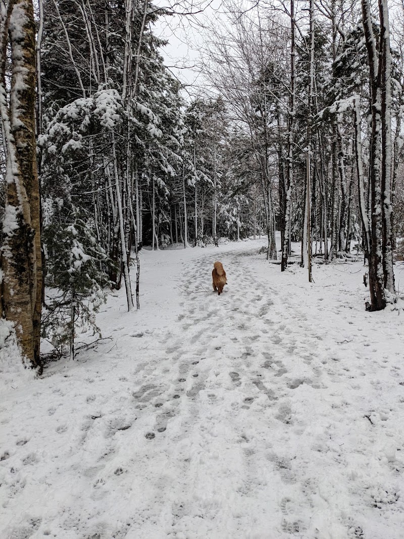 Paws Off Leash Inc. dog park in Lucasville, Nova Scotia
