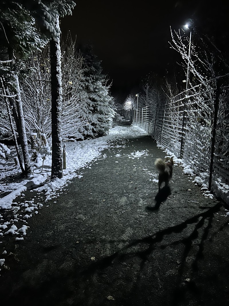 Paws Off Leash Inc. dog park in Lucasville, Nova Scotia