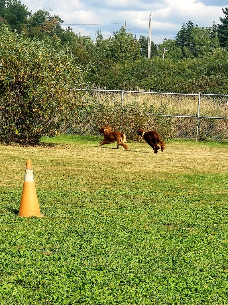 Off Leash East Hants Dog Park dog park in Elmsdale, Nova Scotia