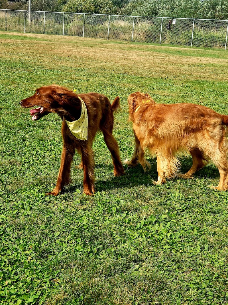 Off Leash East Hants Dog Park dog park in Elmsdale, Nova Scotia
