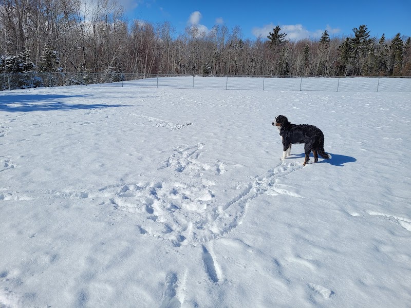 Dog Park dog park in Stellarton, Nova Scotia
