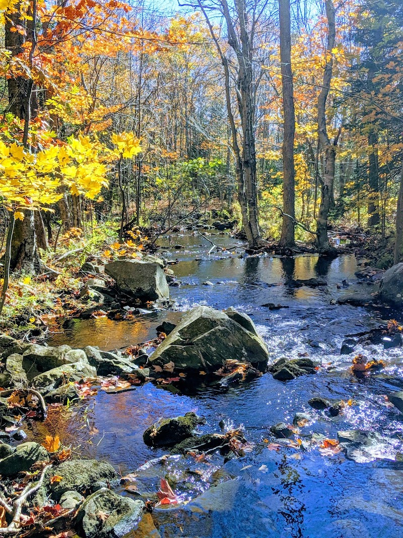 Dog park dog park in Dartmouth, Nova Scotia