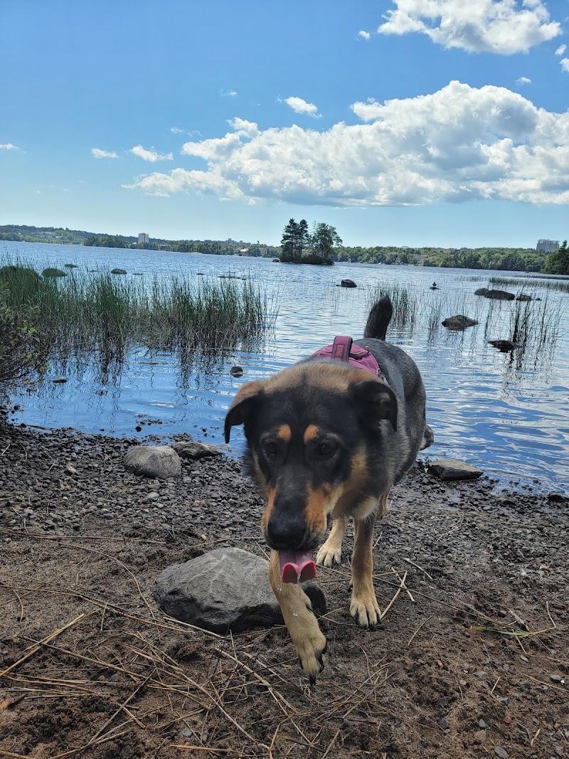 Dog park dog park in Dartmouth, Nova Scotia