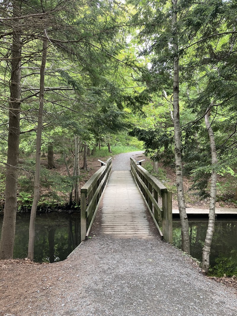 Dog park dog park in Dartmouth, Nova Scotia