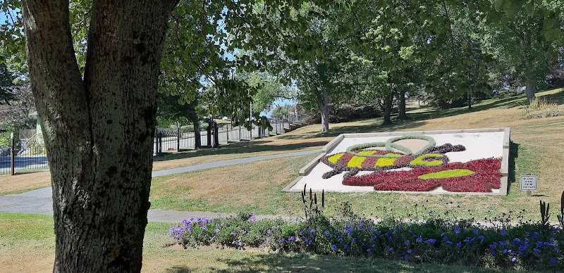 Leighton Dillman Park dog park in Dartmouth, Nova Scotia